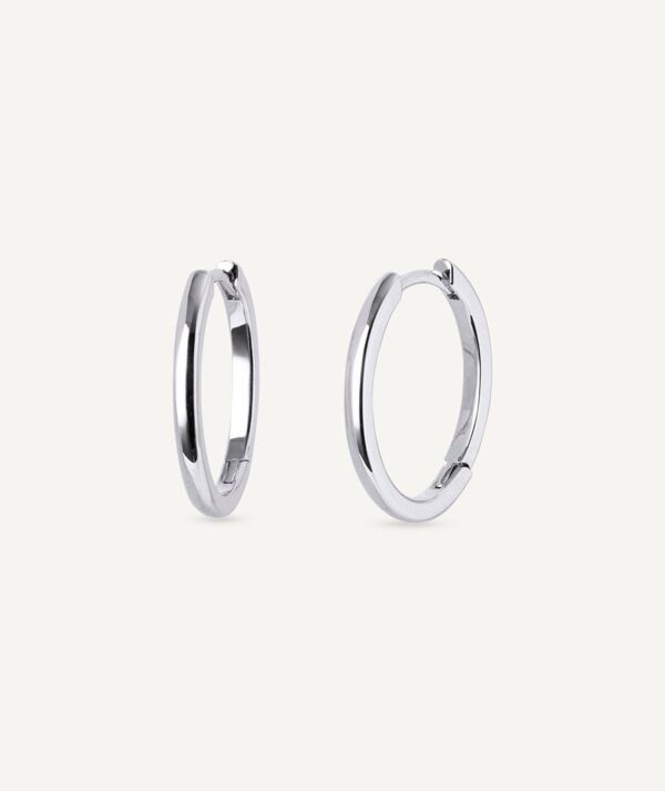 Aros de Plata 21mm