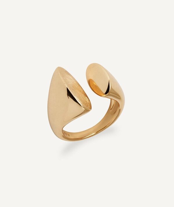 Anillo  Baño de oro Salina Ajustable