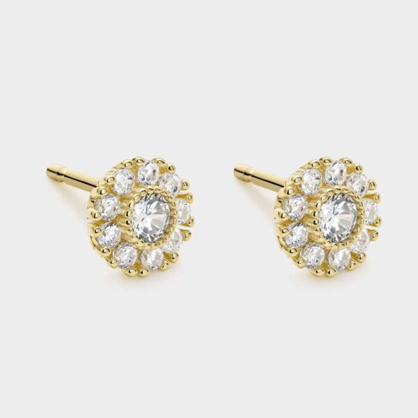 Pendientes flor de plata bañada en oro