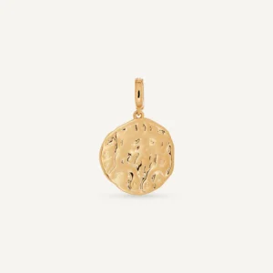 Charm Moneda X48489