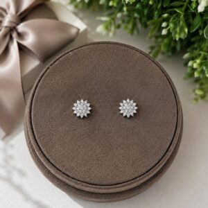 Pendientes Plata Monaquelas con circonitas